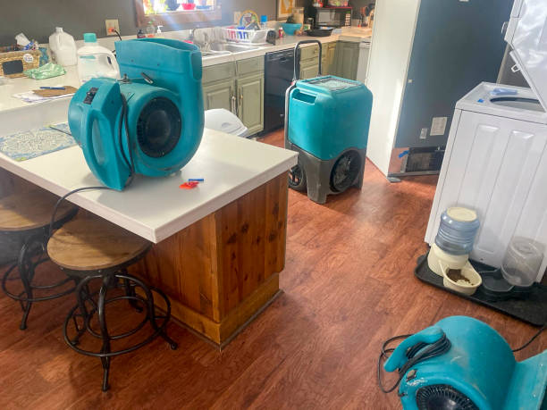 Best Fire Damage Restoration  in Emmaus, PA