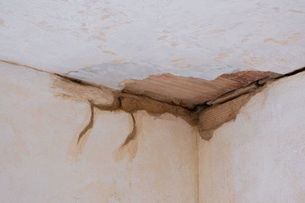 Best Water damage restoration near me  in Emmaus, PA