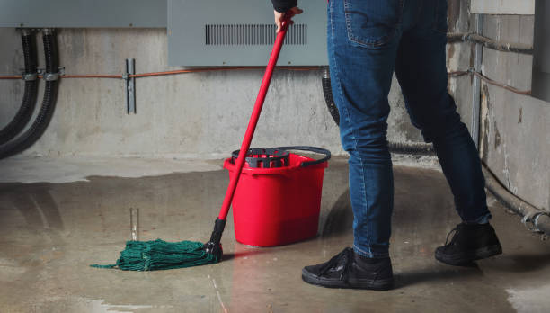 Best Water damage restoration process  in Emmaus, PA