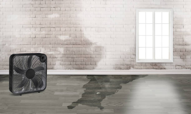 Best Flood restoration services  in Emmaus, PA
