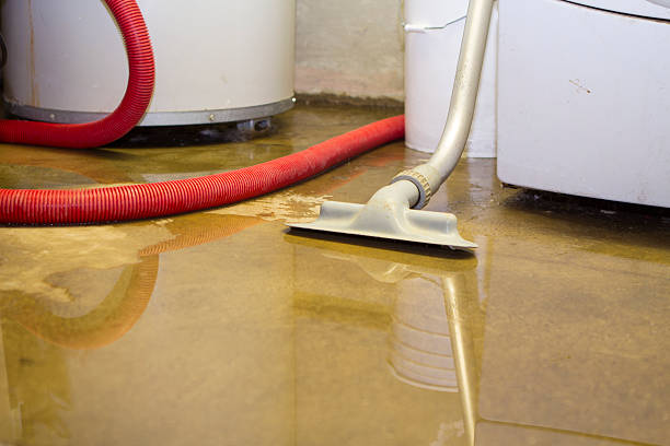 Best 24/7 water damage repair  in Emmaus, PA