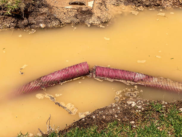 Best 24/7 water damage repair  in Emmaus, PA